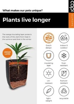 Vase Elegant Deluxe Rib Pot 38x58cm Anthracite -Outdoor Garden Care Shop search 100