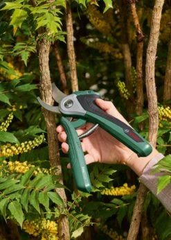 Bosch EasyPrune -Outdoor Garden Care Shop search 1010