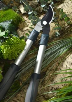 RHS Mini Bypass Lopper Burgon & Ball 7 RHS Mini Bypass Lopper Burgon & Ball -Outdoor Garden Care Shop search 1040