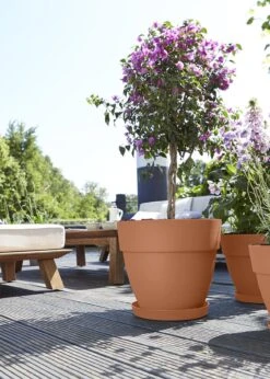 Elho Vibia Campana Pot 35cm Terra -Outdoor Garden Care Shop search 105