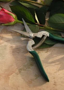 RHS Flower & Fruit Snip Burgon & Ball