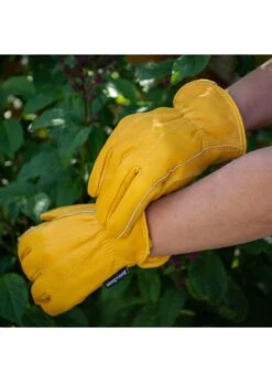 Men's Lux Leather Gloves K&S Large Yellow -Outdoor Garden Care Shop search 1085