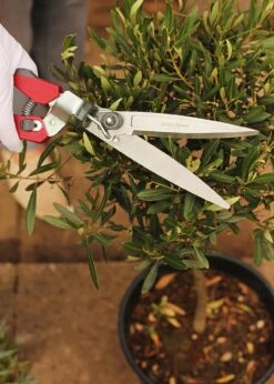 K&S Single Handed Grass Shears -Outdoor Garden Care Shop search 1101