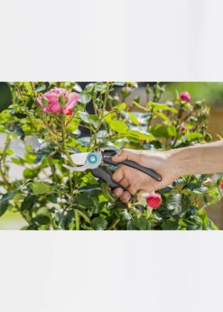 Gardena EcoLine Secateurs -Outdoor Garden Care Shop search 1168
