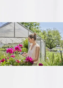 Gardena EcoLine Secateurs -Outdoor Garden Care Shop search 1169