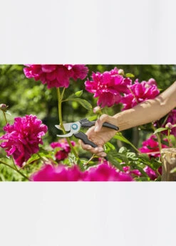 Gardena EcoLine Secateurs -Outdoor Garden Care Shop search 1170