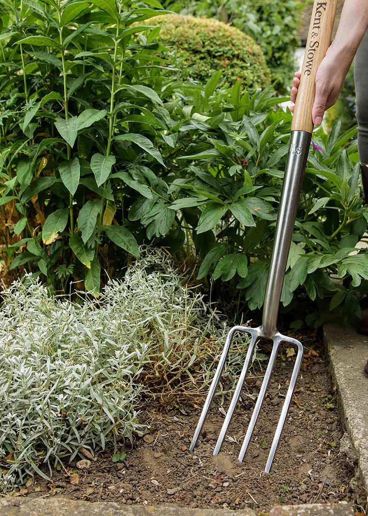 K&S Stainless Steel Border Fork 2 K&S Stainless Steel Border Fork - Image 2