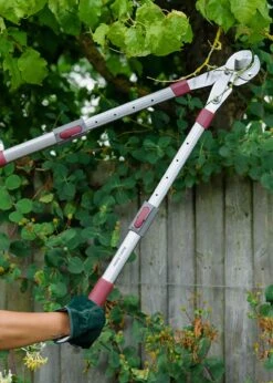 K&S Telescopic Geared Anvil Loppers -Outdoor Garden Care Shop search 1261