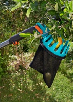 Combisystem Fruit Picker -Outdoor Garden Care Shop search 1291