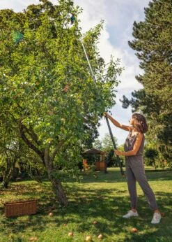 Combisystem Fruit Picker -Outdoor Garden Care Shop search 1292