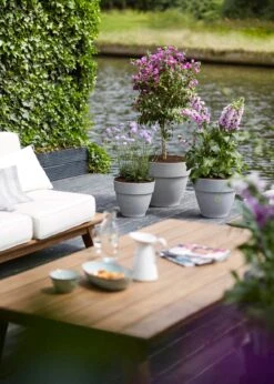 Elho Vibia Campana Pot 35cm Concrete -Outdoor Garden Care Shop search 139