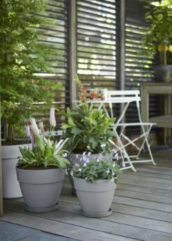 Elho Vibia Campana Pot 35cm Concrete -Outdoor Garden Care Shop search 140