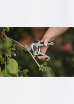 K & S Eversharp All Purpose Secateurs -Outdoor Garden Care Shop search 1419