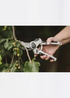 K & S Eversharp All Purpose Secateurs -Outdoor Garden Care Shop search 1420