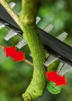 Bosch Universal HedgePole 18 Cordless Hedge Cutter 9 Bosch Universal HedgePole 18 Cordless Hedge Cutter -Outdoor Garden Care Shop search 1543