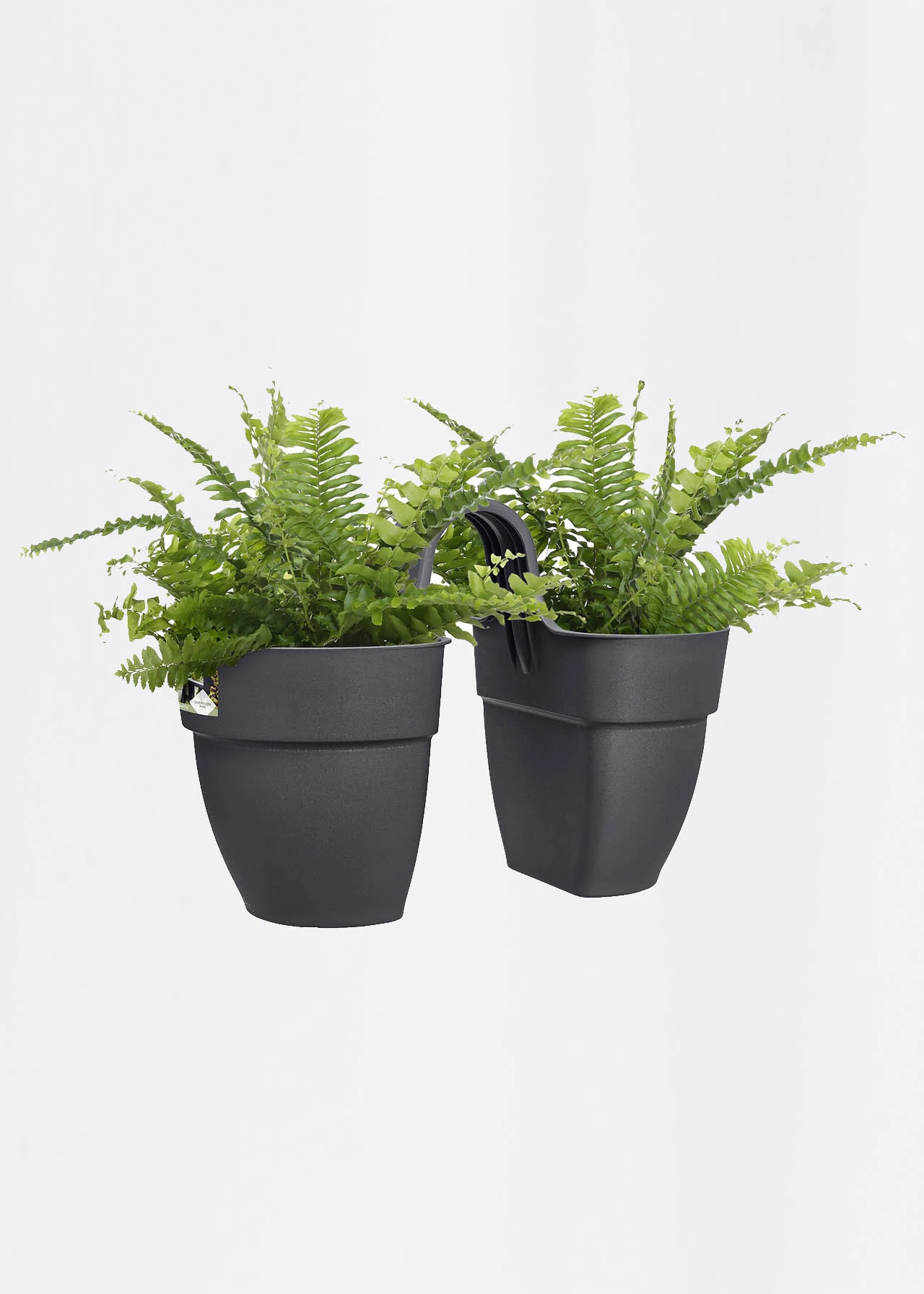 Elho Vibia Campana Twin Hanger 21cm Anthracite 2 Elho Vibia Campana Twin Hanger 21cm Anthracite - Image 2