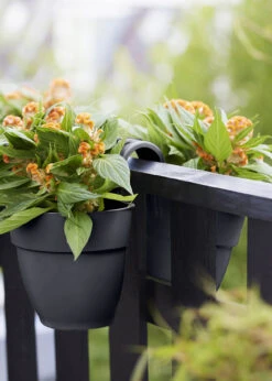 Elho Vibia Campana Twin Hanger 21cm Anthracite 6 Elho Vibia Campana Twin Hanger 21cm Anthracite -Outdoor Garden Care Shop search 166