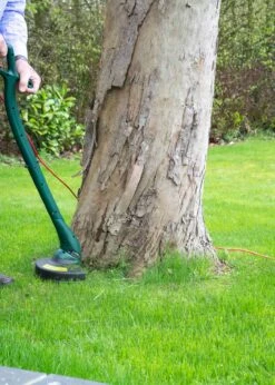 Webb Classic 250w 23cm (9") Linetrimmer -Outdoor Garden Care Shop search 1718