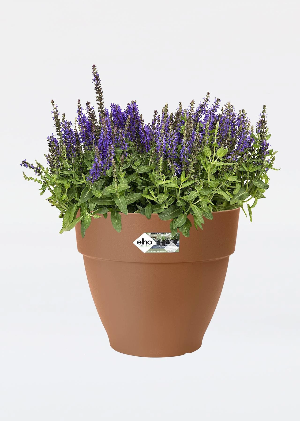 Elho Vibia Campana Pot 30cm Terra 2 Elho Vibia Campana Pot 30cm Terra - Image 2