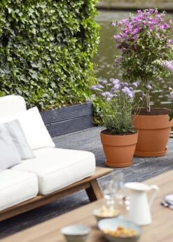 Elho Vibia Campana Pot 30cm Terra 6 Elho Vibia Campana Pot 30cm Terra -Outdoor Garden Care Shop search 176