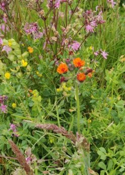 Heritage Meadowmat 10sqm