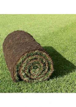 Premium Lawn Turf 30sqm