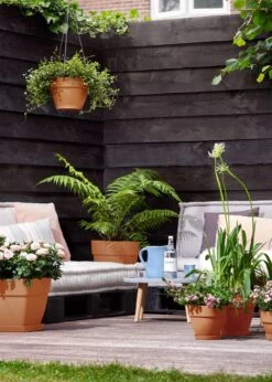 Elho Vibia Campana Bowl 27cm Terra 6 Elho Vibia Campana Bowl 27cm Terra -Outdoor Garden Care Shop search 195