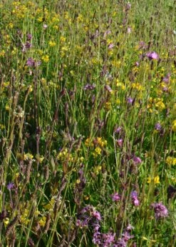 Woodland Shade 10sqm