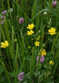 Traditional Meadowmat 20sqm