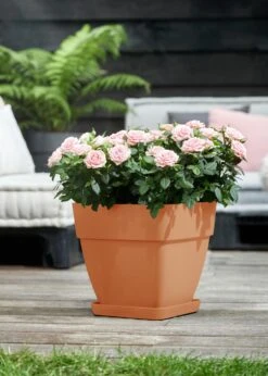 Elho Vibia Campana Planter 30cm Terra -Outdoor Garden Care Shop search 200