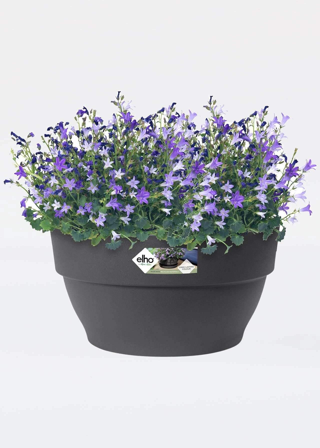 Elho Vibia Campana Bowl 27cm Anthracite 2 Elho Vibia Campana Bowl 27cm Anthracite - Image 2