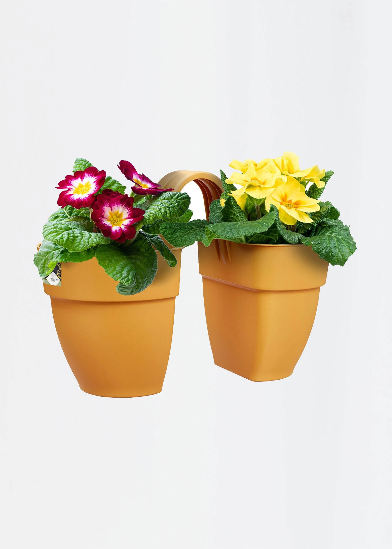 Elho Vibia Campana Twin Hanger 21cm Yellow 2 Elho Vibia Campana Twin Hanger 21cm Yellow - Image 2