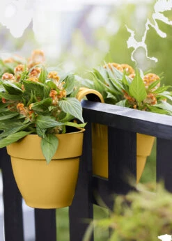 Elho Vibia Campana Twin Hanger 21cm Yellow 6 Elho Vibia Campana Twin Hanger 21cm Yellow -Outdoor Garden Care Shop search 248