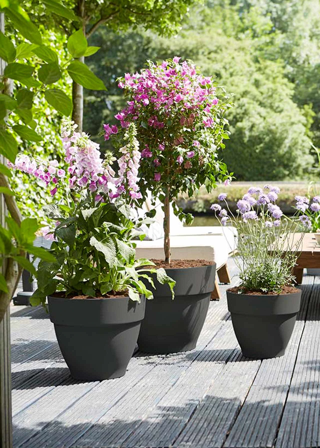 Elho Vibia Campana Pot 35cm Anthracite 3 Elho Vibia Campana Pot 35cm Anthracite - Image 3