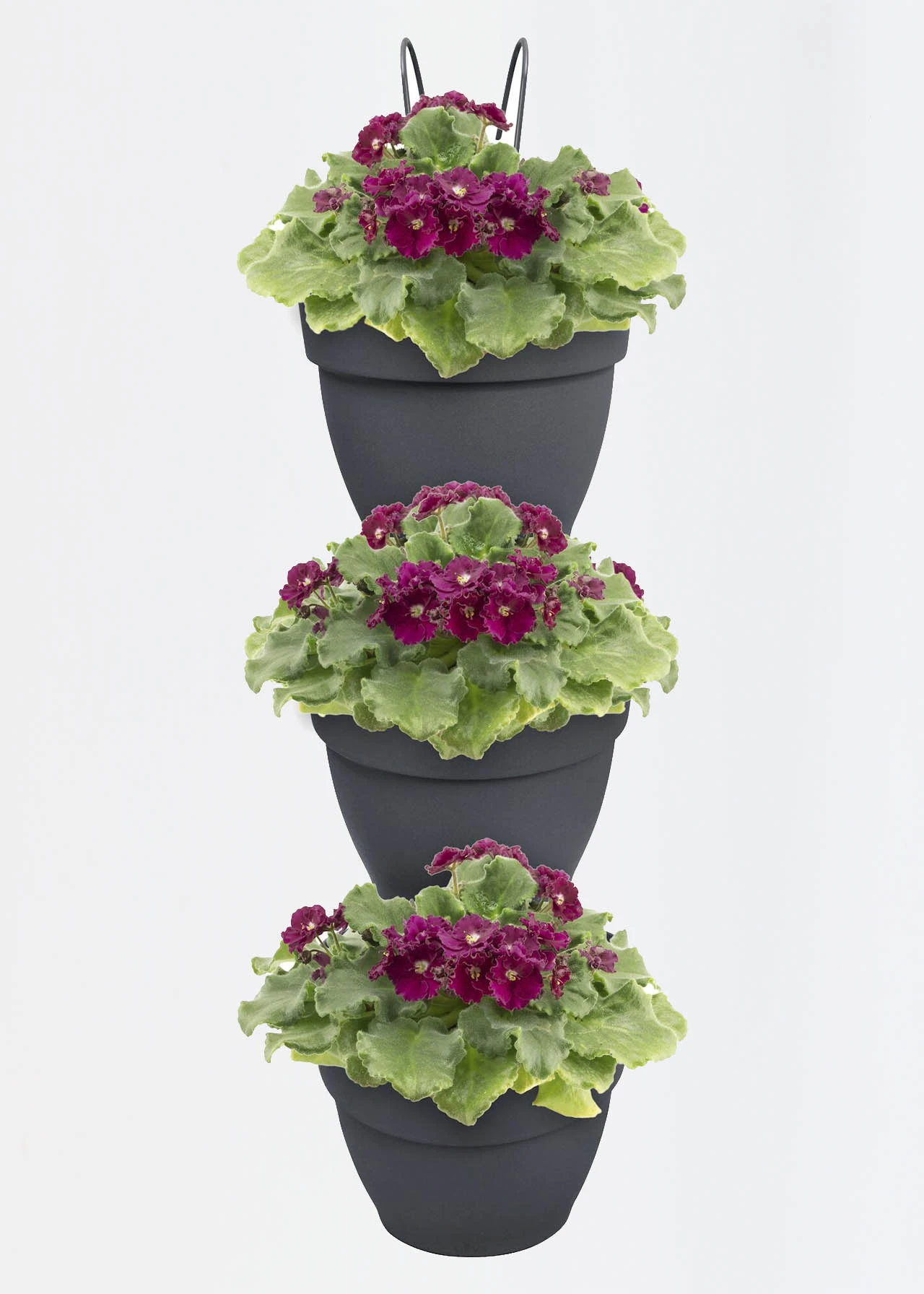 Elho Vibia Campana Vertical Forest Set/3 Anthracite 2 Elho Vibia Campana Vertical Forest Set/3 Anthracite - Image 2