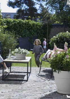 Elho Vibia Campana Bowl 34cm Living Concrete -Outdoor Garden Care Shop search 267