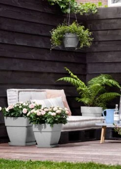 Elho Vibia Campana Bowl 34cm Living Concrete -Outdoor Garden Care Shop search 268