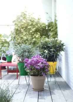 Elho Loft Urban Pot 25cm Ochre -Outdoor Garden Care Shop search 297