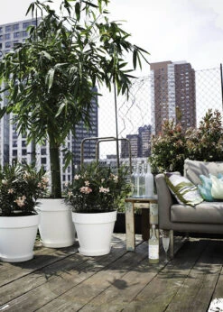 Elho Loft Urban Round Pot With Wheels 50cm White -Outdoor Garden Care Shop search 309