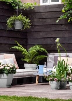 Elho Vibia Campana Bowl 27cm Concrete -Outdoor Garden Care Shop search 31