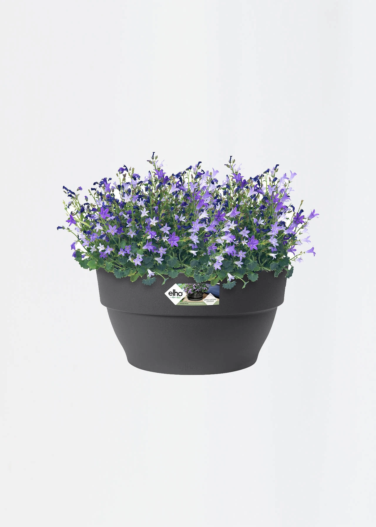 Elho Vibia Campana Bowl 34cm Anthracite 2 Elho Vibia Campana Bowl 34cm Anthracite - Image 2