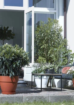 Elho Vibia Campana Bowl 34cm Anthracite 7 Elho Vibia Campana Bowl 34cm Anthracite -Outdoor Garden Care Shop search 314