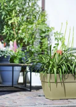 Elho Vibia Campana Terrace Trough 80cm -Outdoor Garden Care Shop search 326