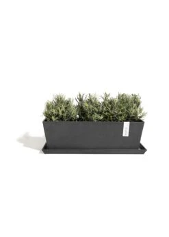 Bruges Balcony Ecopots Saucer 57.5cm Black -Outdoor Garden Care Shop search 339