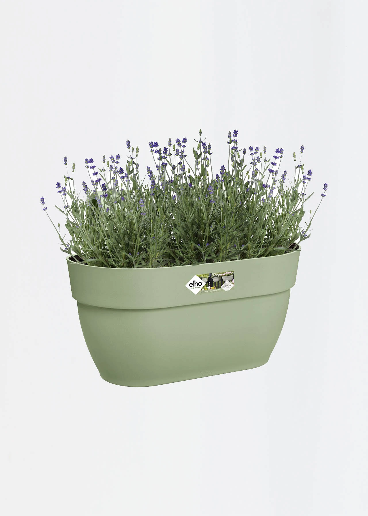 Elho Vibia Campana Hanger Medium Green 2 Elho Vibia Campana Hanger Medium Green - Image 2