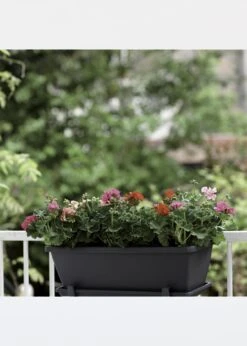 Elho Barcelona Trough 70cm Anthracite -Outdoor Garden Care Shop search 344