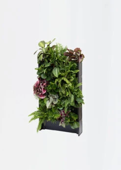 Plant Box Set Of 5 -Outdoor Garden Care Shop search 358