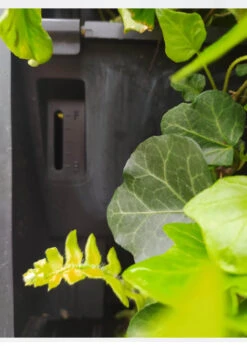 Plant Box Set Of 5 -Outdoor Garden Care Shop search 359