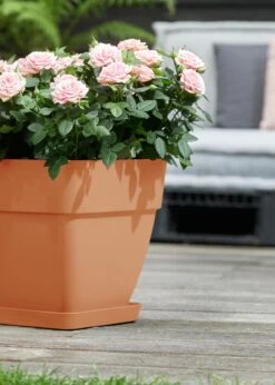 Elho Vibia Campana Square Planter 37cm Terra -Outdoor Garden Care Shop search 366