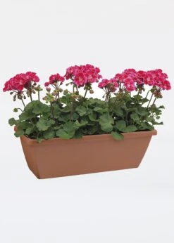 Elho Barcelona Trough 70cm Terra -Outdoor Garden Care Shop search 38